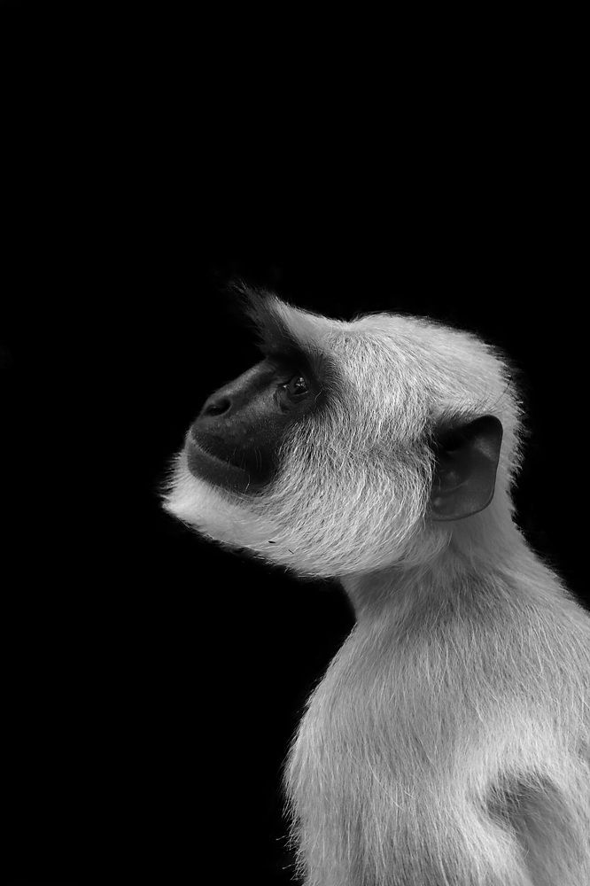 Photograph by Gowtham R