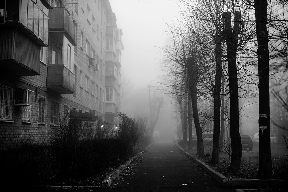 Фотография автора Ирина Макушина