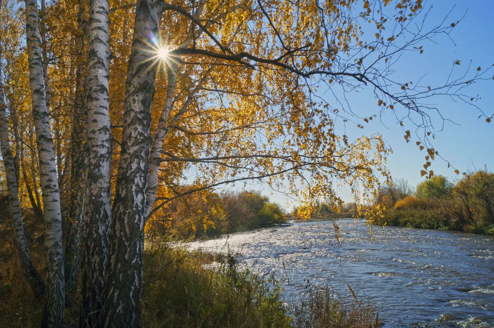 Photograph by Мишустина Татьяна