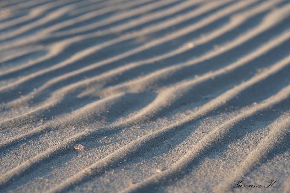 Photograph by Susanna Kari