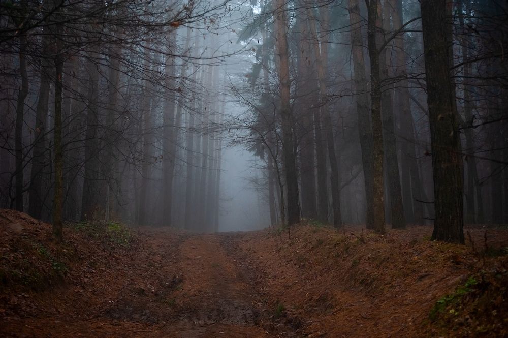 Фотография автора Ирина Макушина