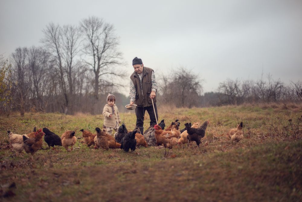 Photograph by Ольга Капустина