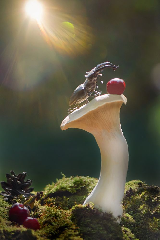 Photograph by Быканова Виктория