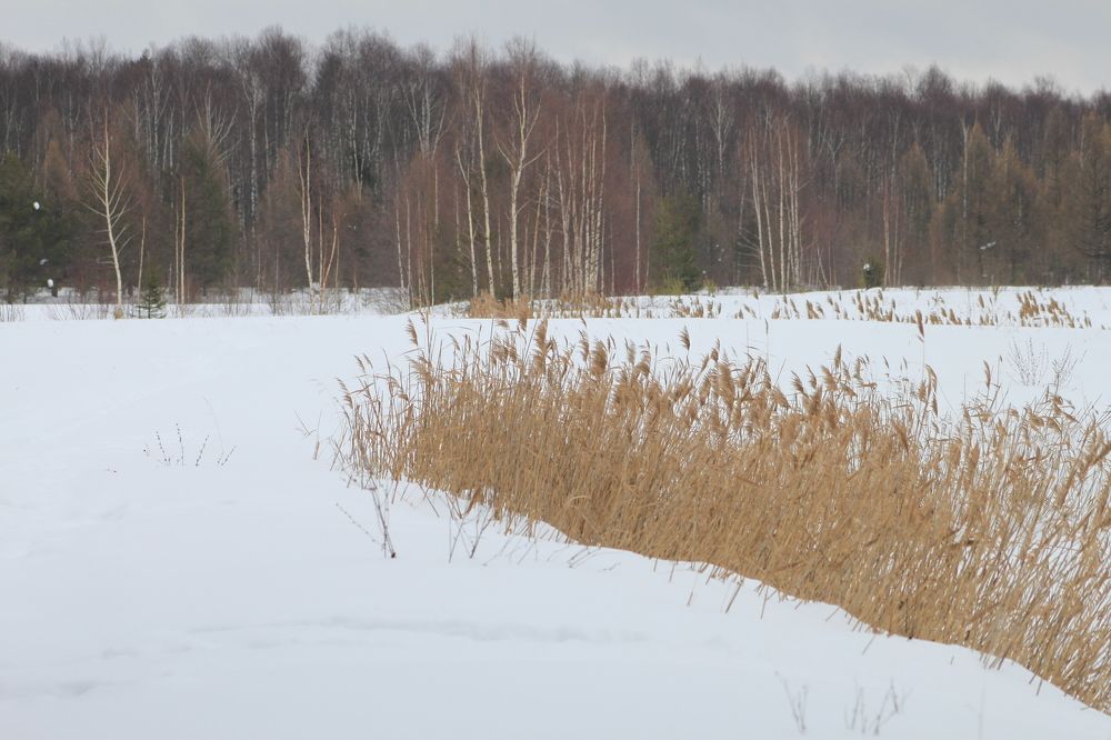 Photograph by Tasha Tiger