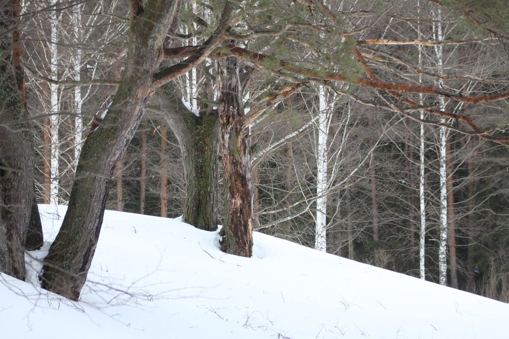 Photograph by Tasha Tiger