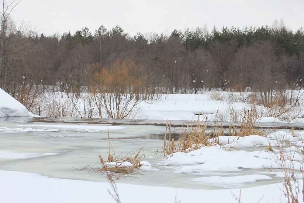 Photograph by Tasha Tiger