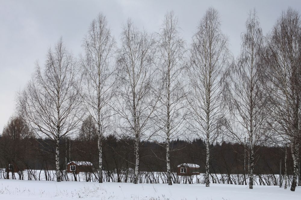 Photograph by Tasha Tiger