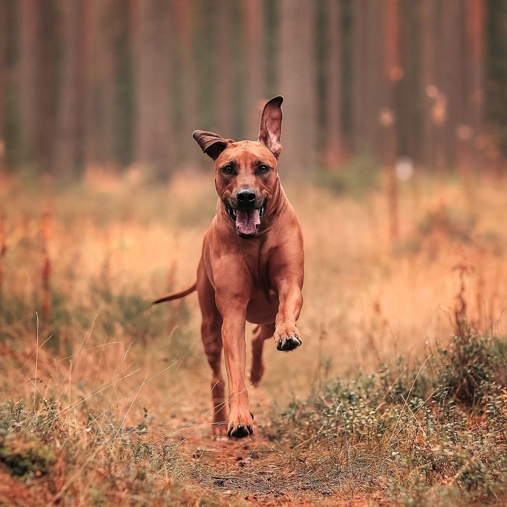 Photograph by Татьяна Морозова