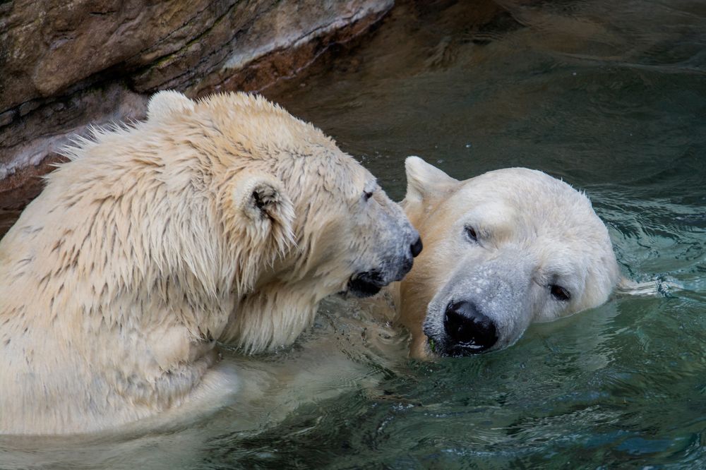 Photograph by Ястребцов Олег