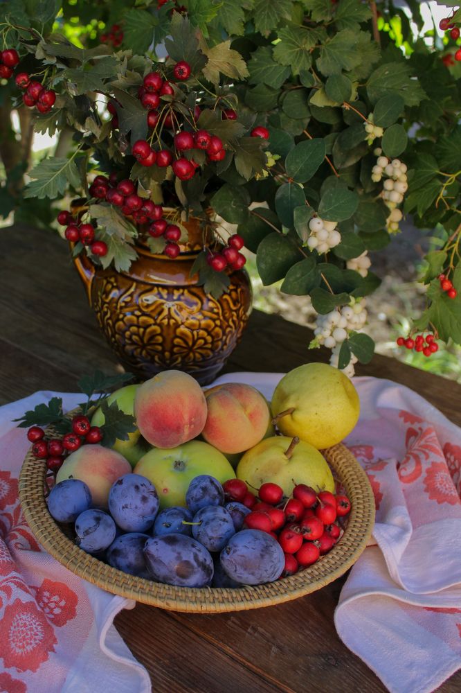 Photograph by Анна Толмачева