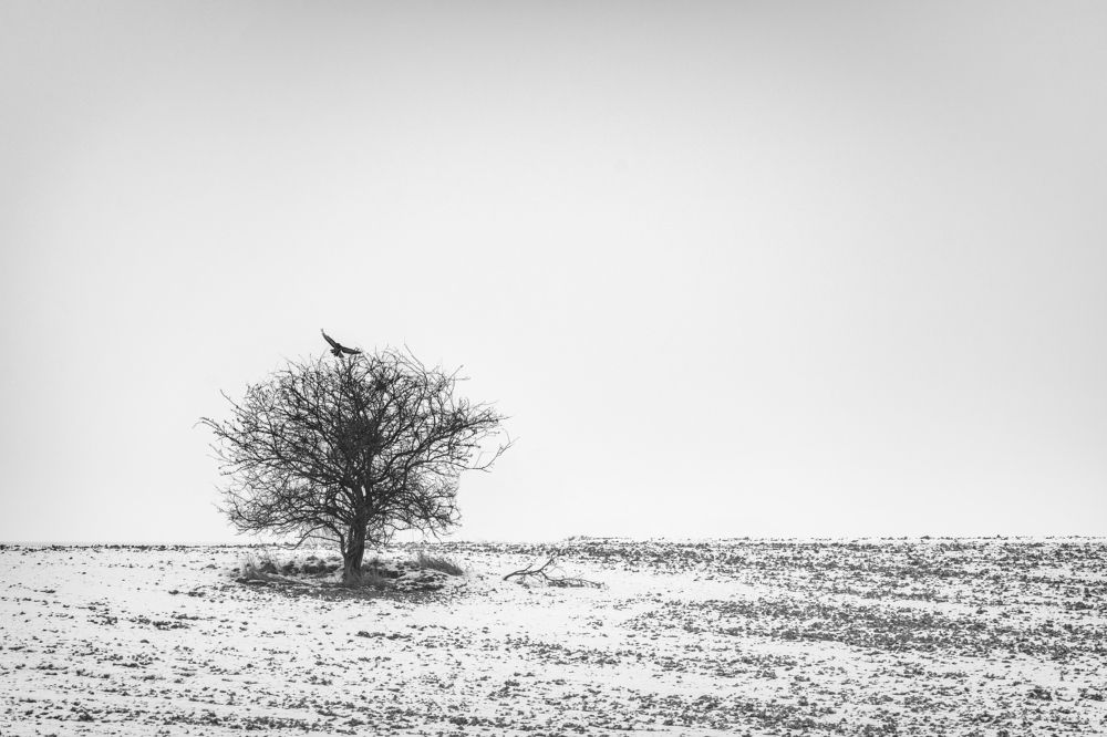 Photograph by Katarzyna Bochniak