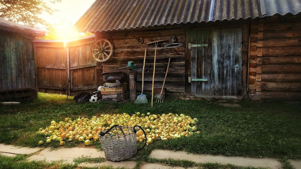 Photograph by Сергей Протасов