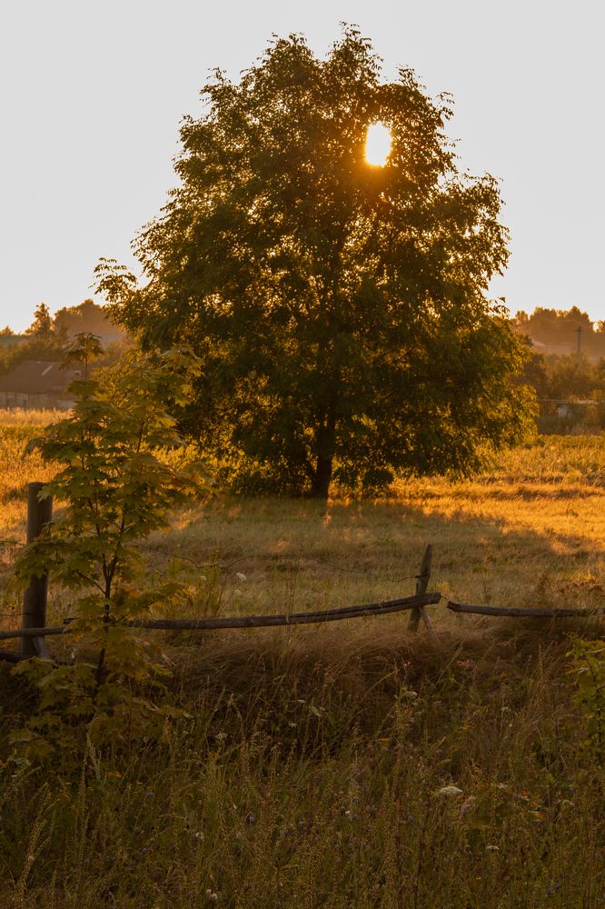 Photograph by Анна Толмачева