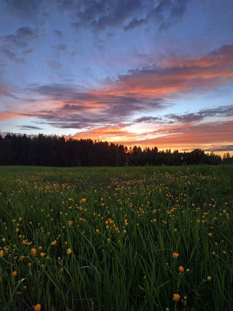 Фотография автора Александр Довганюк