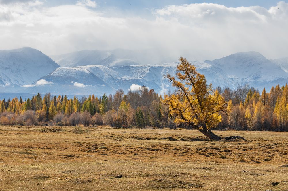 Photograph by Pavel Klishin