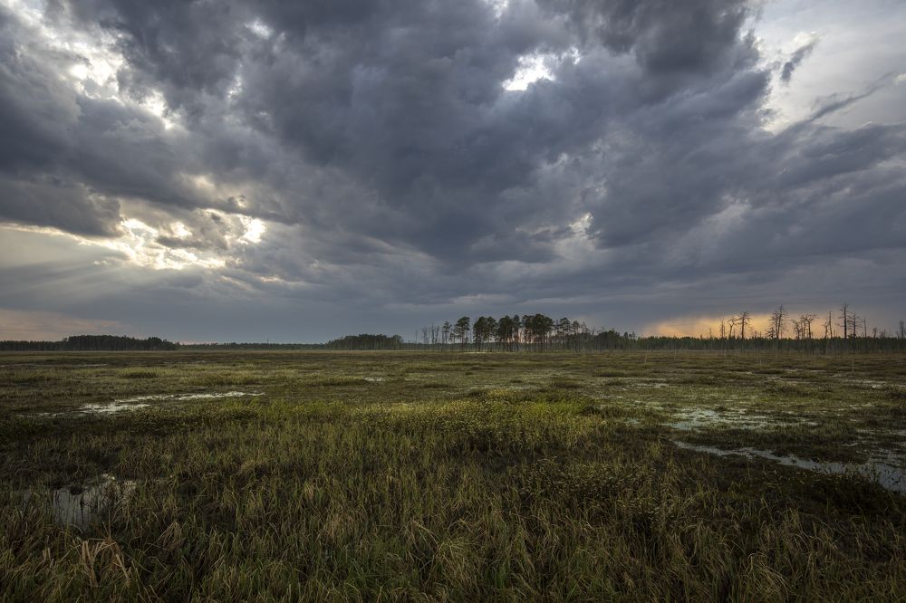 Photograph by Татьяна Борисова