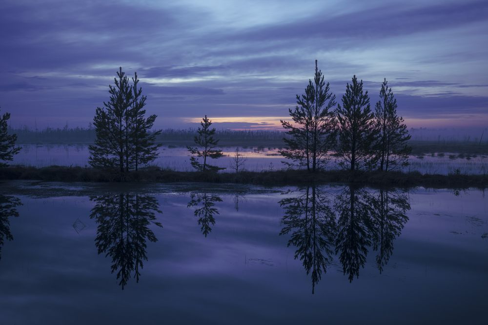 Photograph by Татьяна Борисова