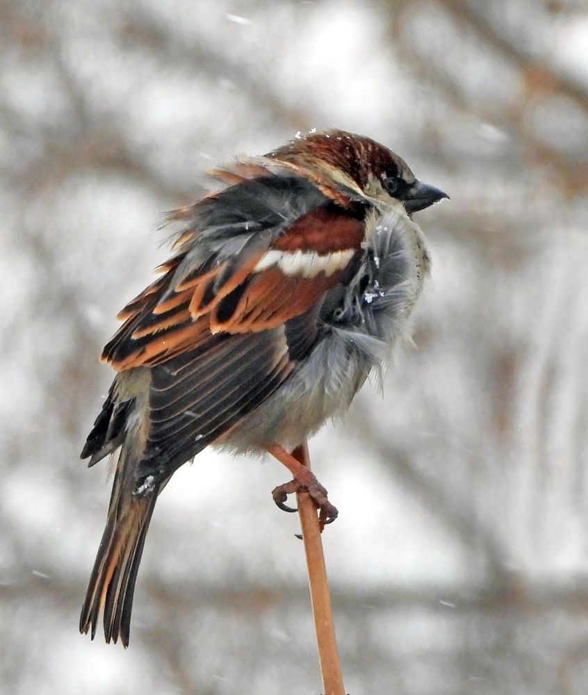 Photograph by Татьяна ТУРСКАЯ