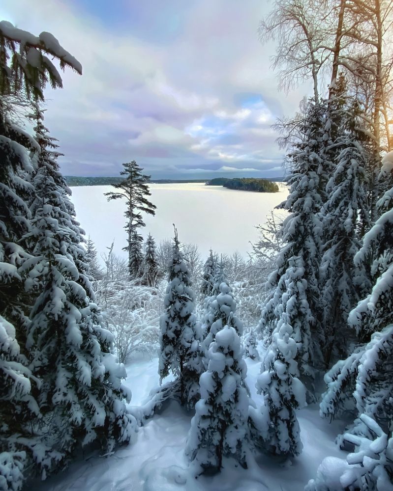 Photograph by Сергей Протасов