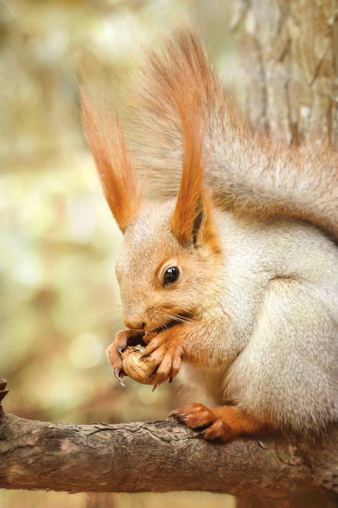 Photograph by Татьяна Колесникова