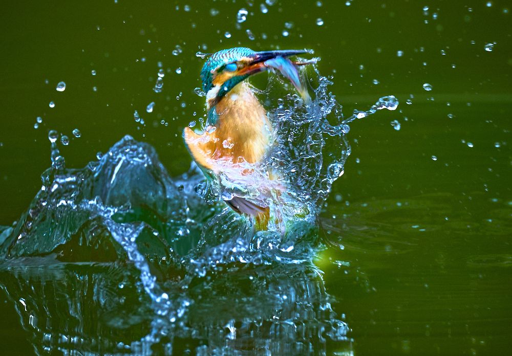 Фотография автора Maurice Leung