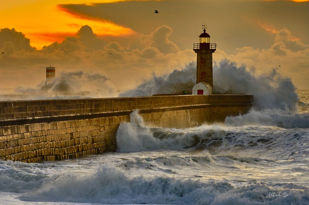 Photograph by Adelaide Sá