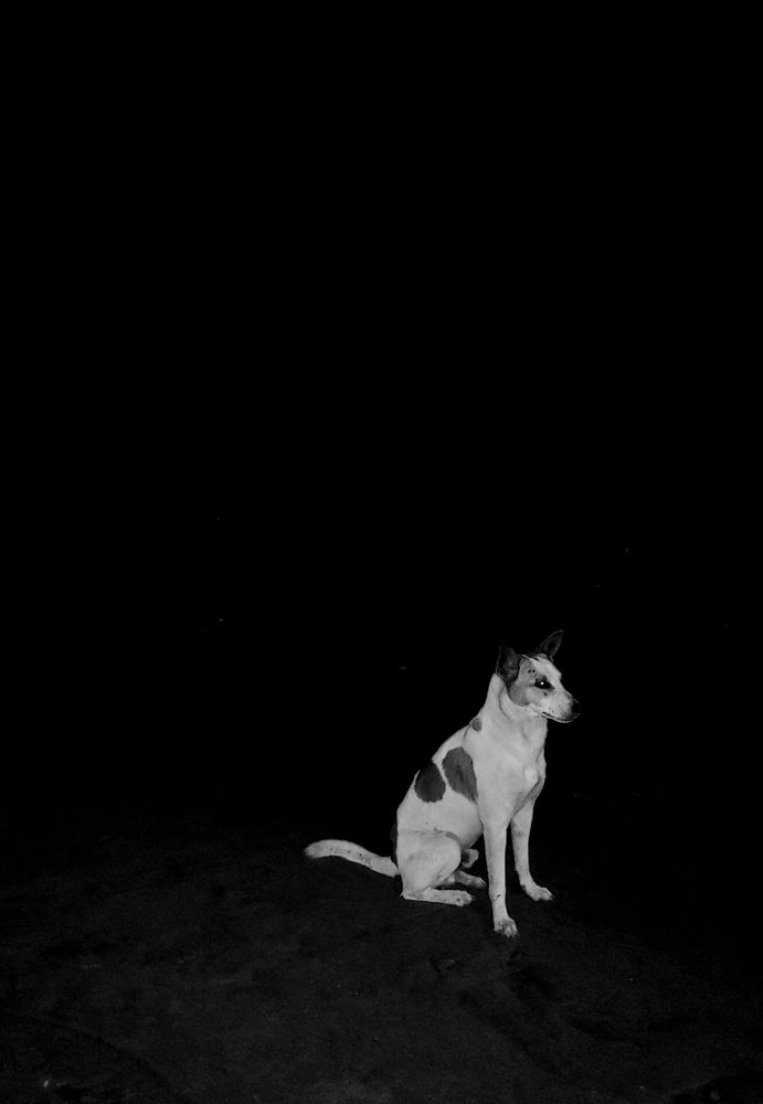 Photograph by Fahim Sayed