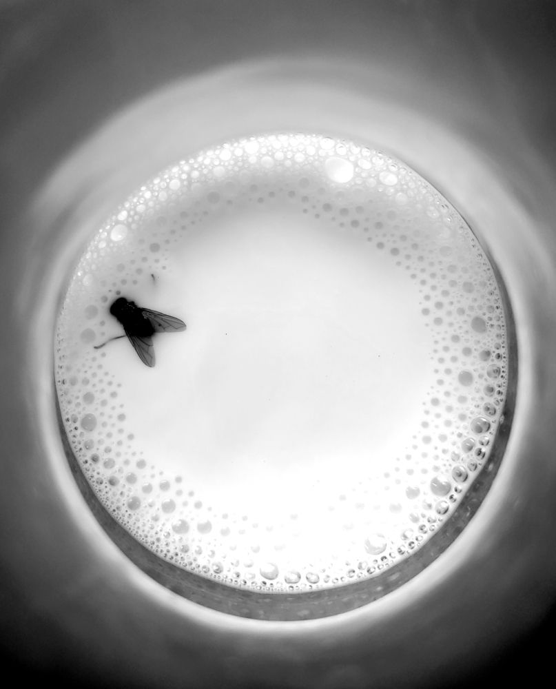 Photograph by Fahim Sayed