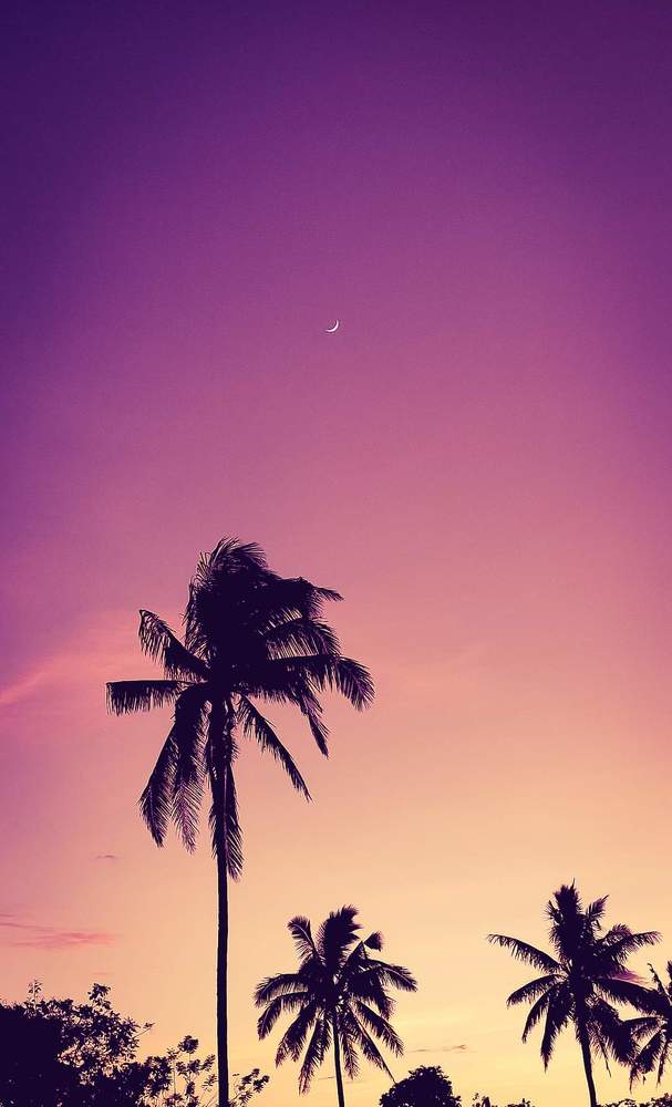 Waxing Crescent