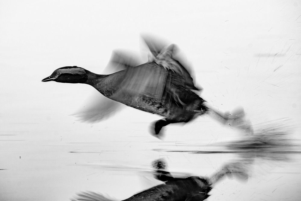 Photograph by Вячеслав Ладанов