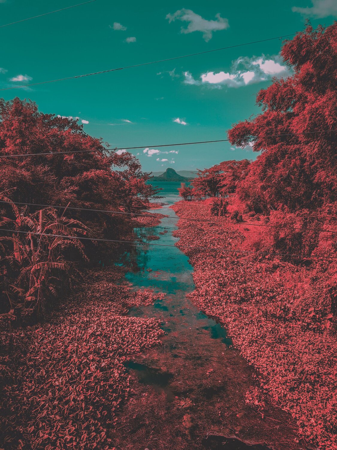 R E D