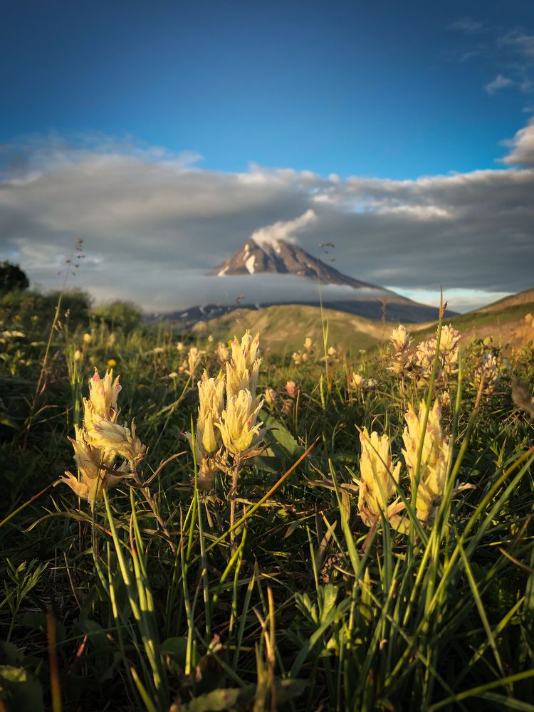 Photograph by Бравичева Анастасия