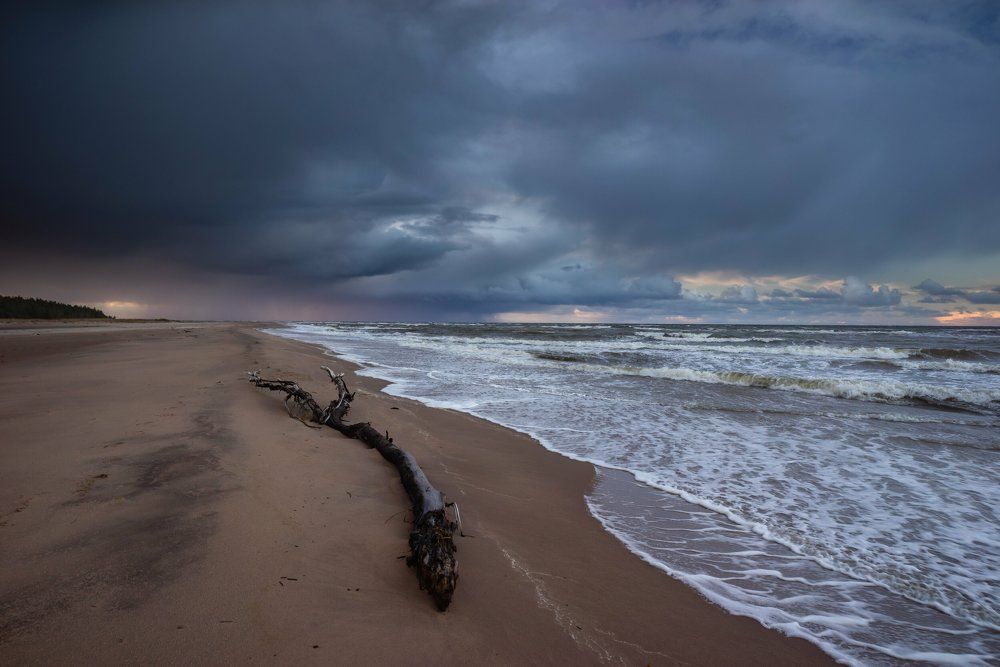 В сердце бури