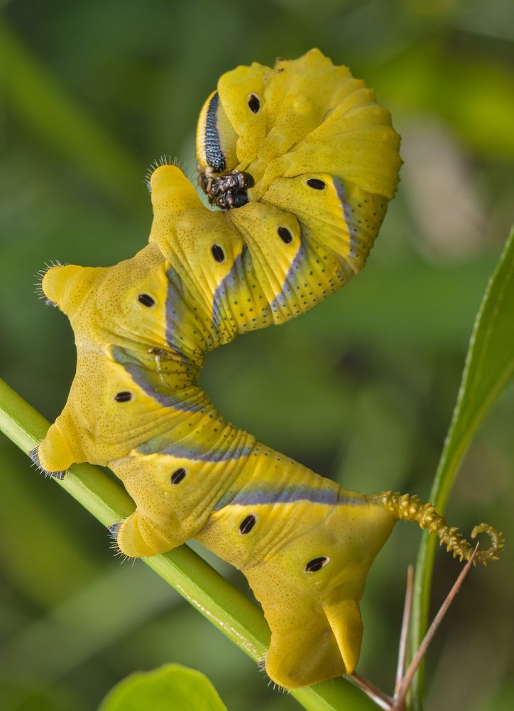 Photograph by Yusak priyanto