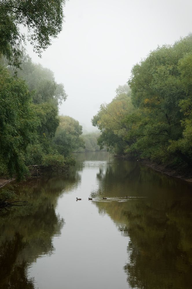 Фотография автора Ярослав Калегин