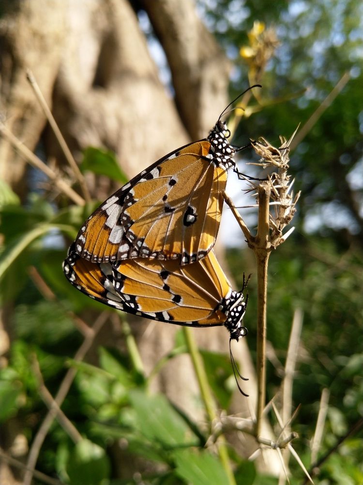 Photograph by sumit sitole