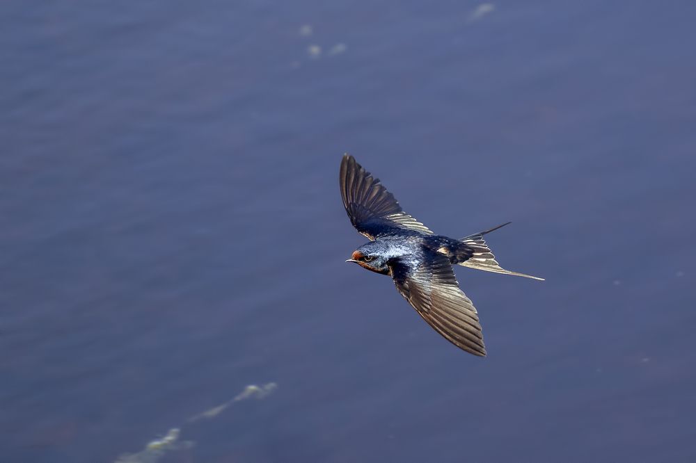 Photograph by Esteban Argerich