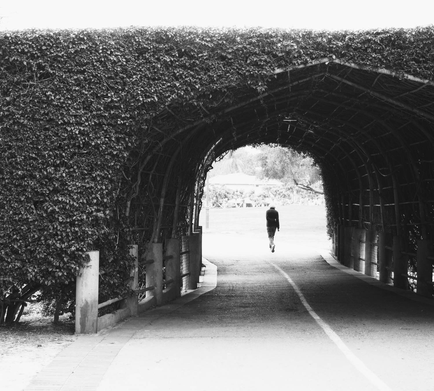 Photo #7350110
