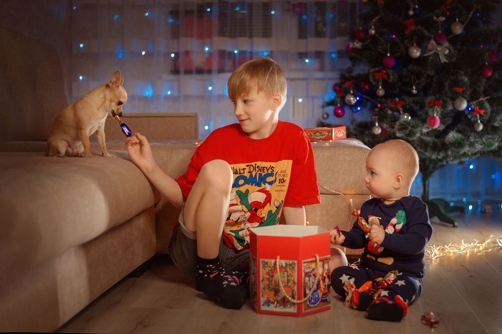 Photograph by Лукуть Ольга