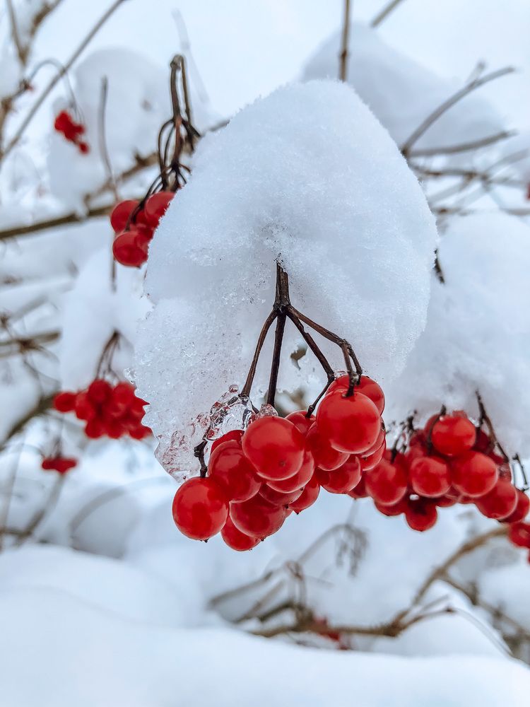 Photograph by Алена Воронова