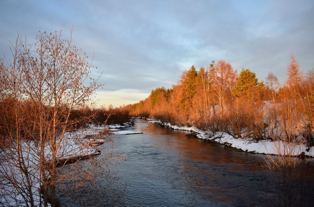 Фотография автора Оксана Льдинина
