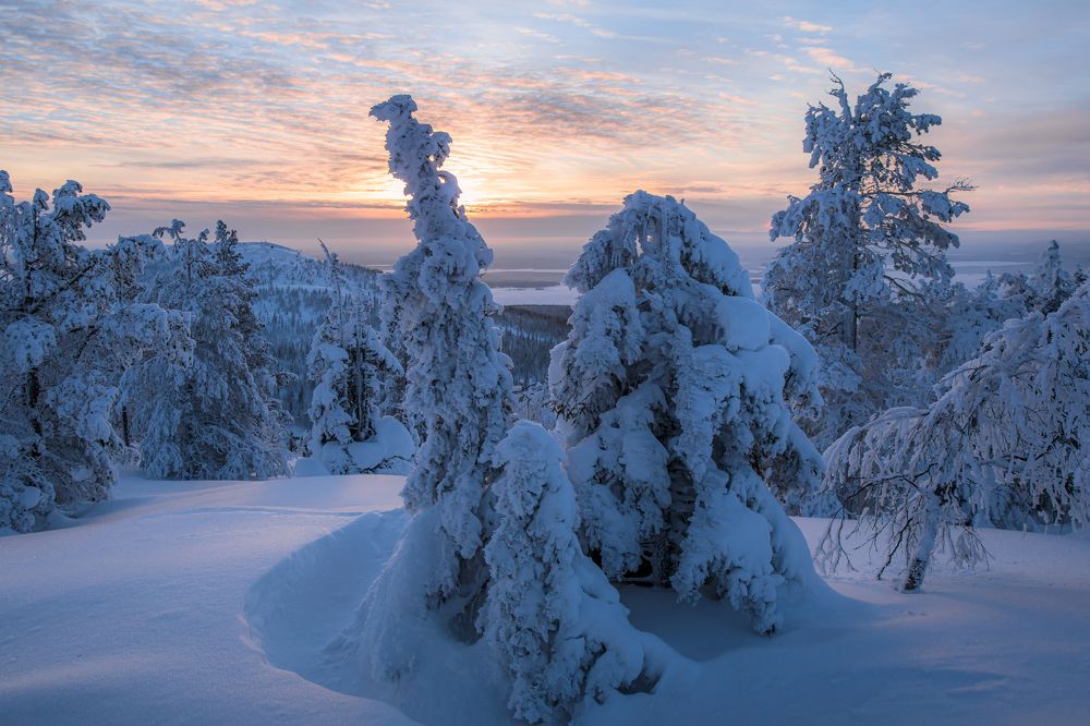 Photograph by Мария Казакова