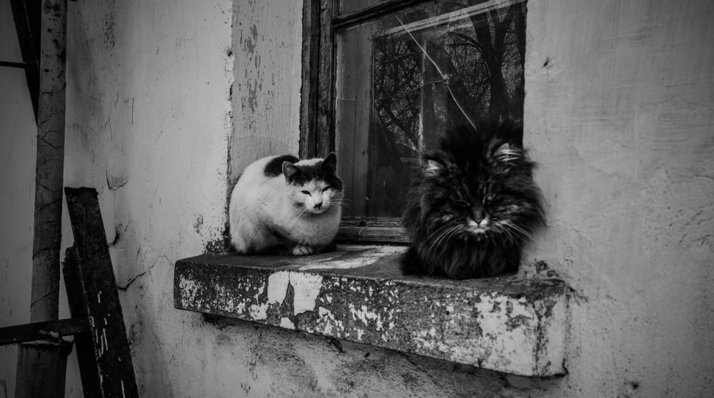 Photograph by Никита Антонов