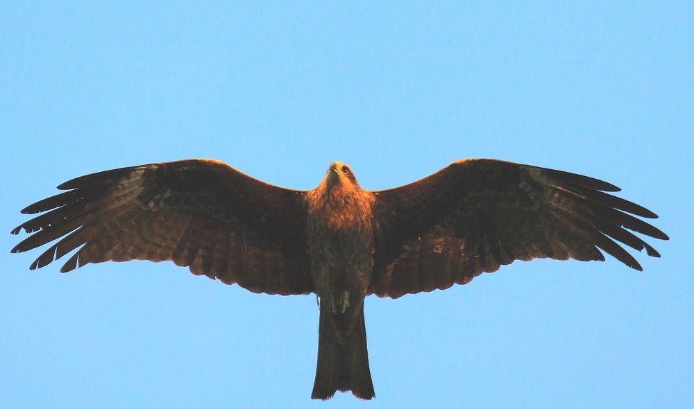 Прощание с Солнцем