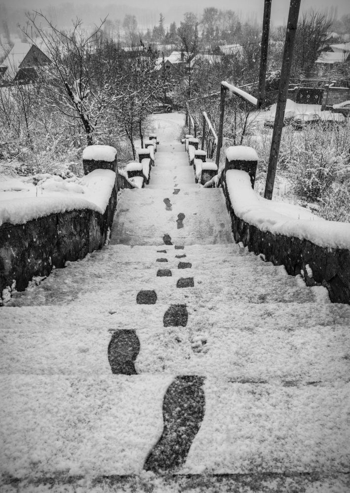 Photograph by Никита Антонов