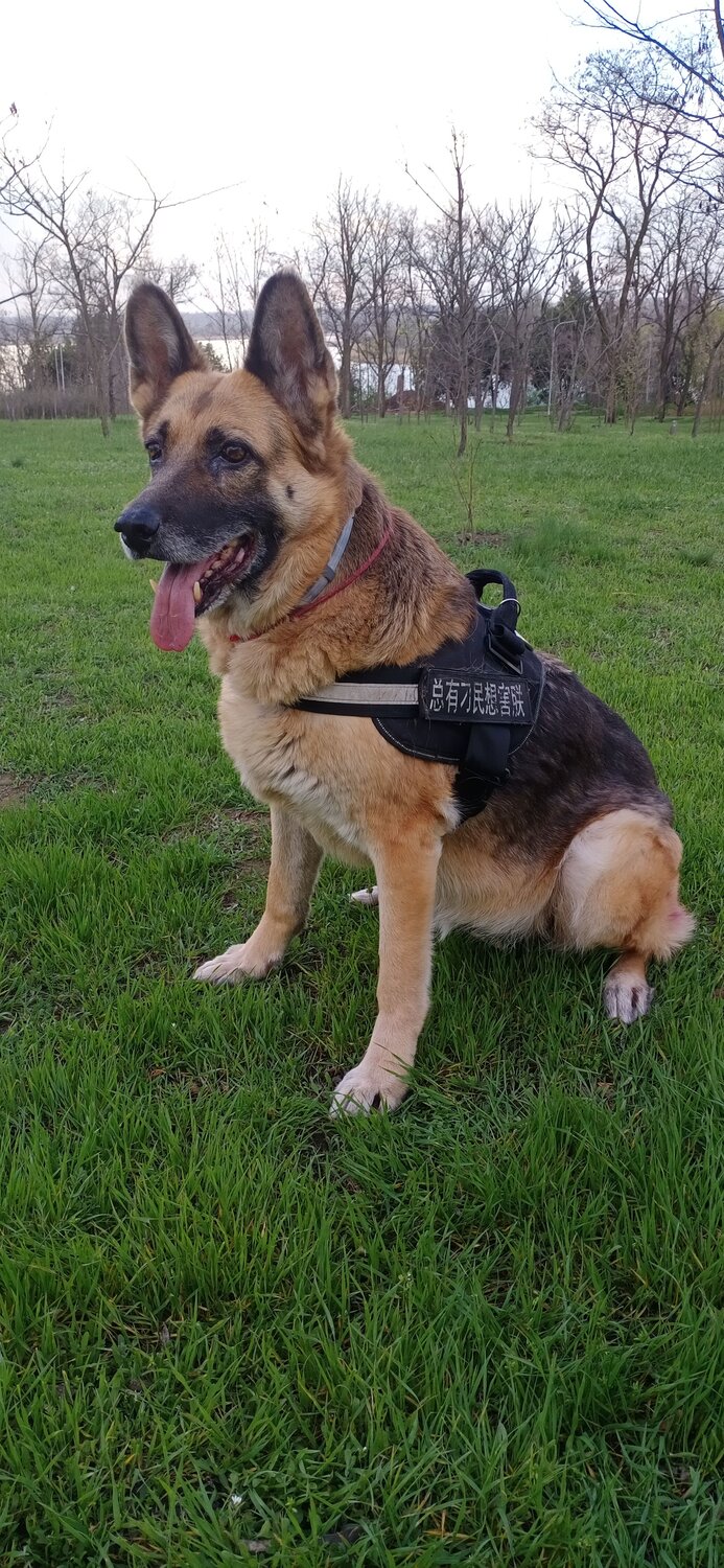 Photo #7350198