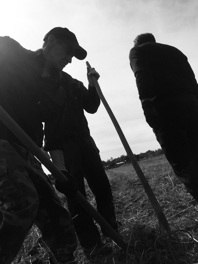 Что посеял, то и пожнешь