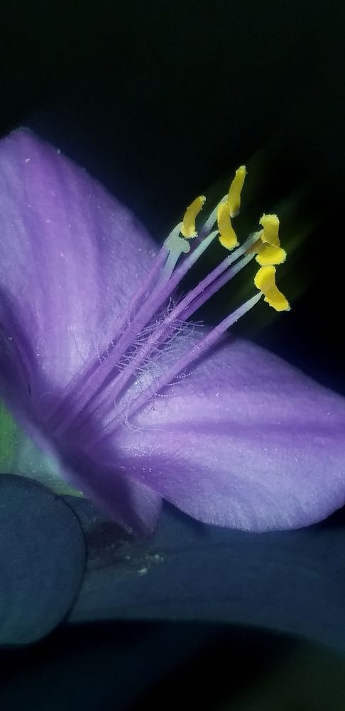 Photograph by Orzigul Babaniyozova