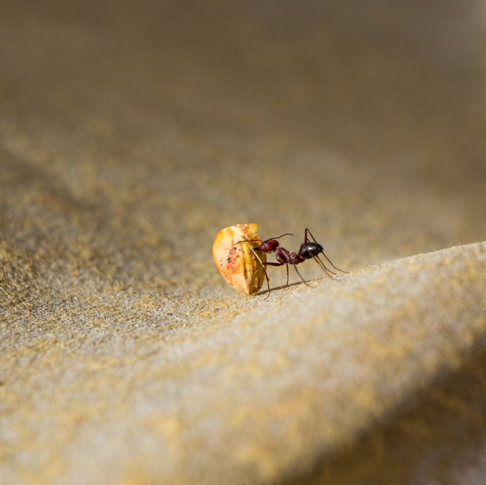 Photograph by Margil Zani
