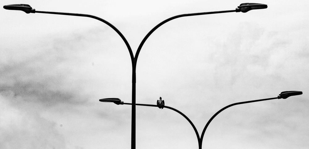 Photograph by Gajanayake Lakshi